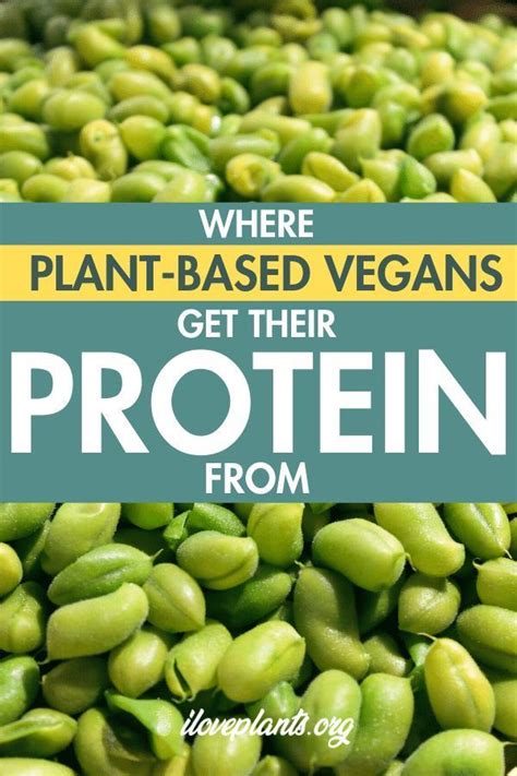 Gfi has partnered with aak kamani, india's leading supplier of oils and fats. 25 Totally Awesome Sources Of Plant-Based Protein | High ...