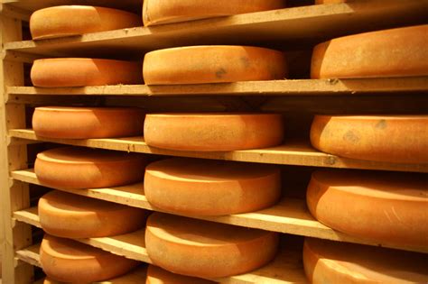 La différence Gruyère Emmental expliquée simplement