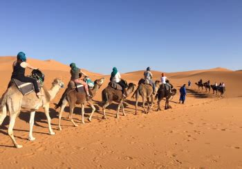 Best camel trekking tours in morocco, explore the desert on a camel tour from marrakech or fes. Marrakech - Moroccan Sahara | Morocco tours, Desert tour ...