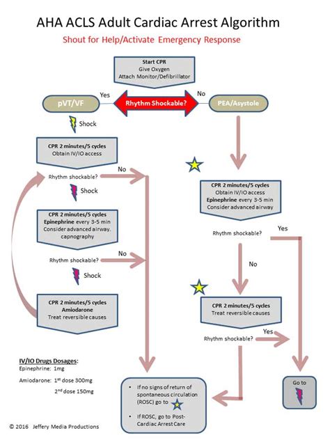 Cardiac arrest rhythms, vf, vt, asystole and pea. VF and pulseless VT | ACLS-Algorithms.com