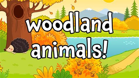 Woodland Creatures Learning Names Of Woodland Animals Youtube