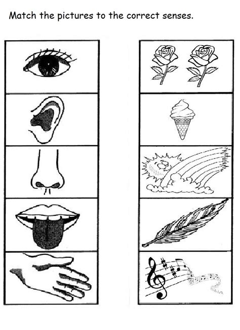 Five senses activity ideas sheets. Crafts,Actvities and Worksheets for Preschool,Toddler and ...