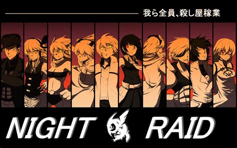 Night Raid Akame Ga Kill Portrait Illustration Character