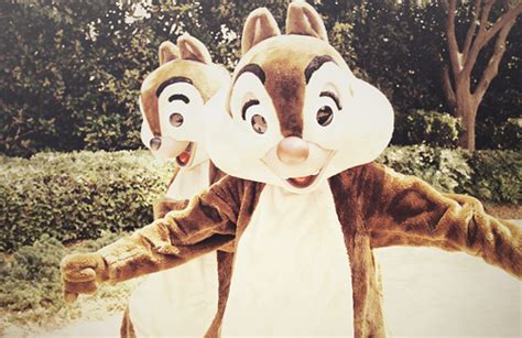 Chip And Dale Chip And Dale Photo 25009980 Fanpop