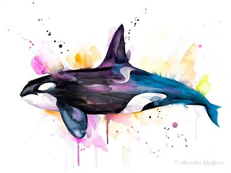 Killer Whale Watercolor Painting Print By Slaveika Aladjova Etsy