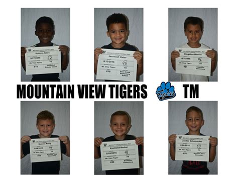 Mountain View Tigers Football Tm Youth Football Programs