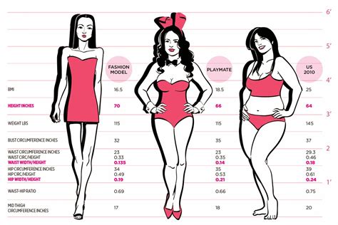 The Ideal Female Body Interesting Facts
