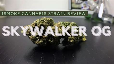 Skywalker Og Cannabis Strain Review Ismoke