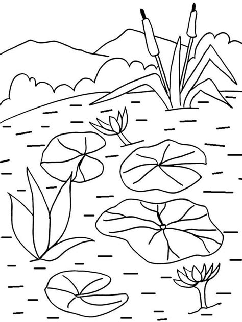 Then use the print function on your browser to print the active frame. Water lily coloring pages. Download and print Water lily ...