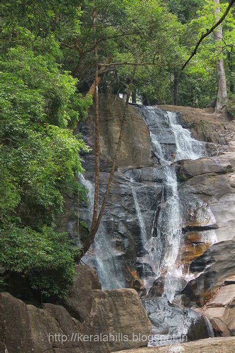 Vazhvanthol Waterfalls Kerala Hills