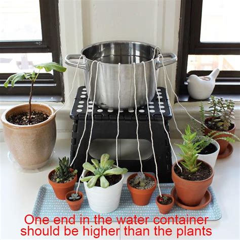 Setting Up An Automatic Watering System For Outdoor Plants Hanging