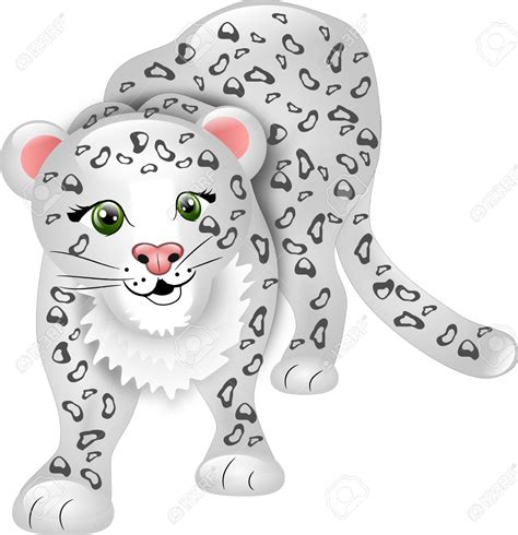 Snow Leopard Clipart And Look At Clip Art Images Clipartlook