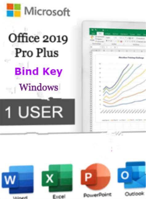 Bind Office 2019 Professional Plus Bind Key Windows Fast Delivery