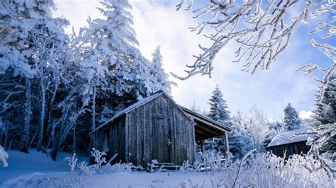 More Snow At Leconte Lodge Creates Magical Winter Scene
