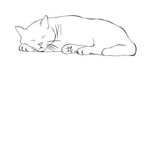 Cat Sleeping White Cat Line Art Pillow Cover T Shirt Cat Drawing