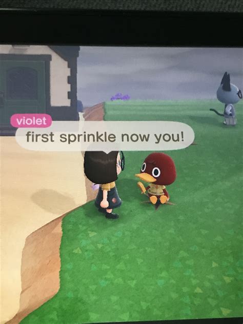 Before I do something in animal crossing........... | Fandom