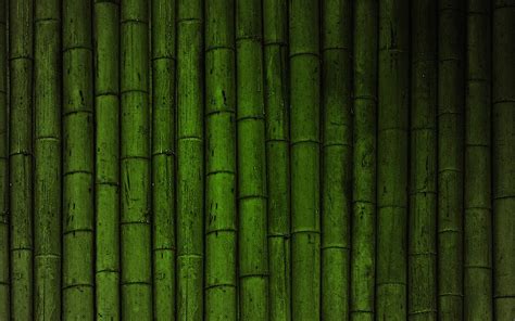 Descargar Fondos De Pantalla K Bamb Verde De Fondo Macro Bamb