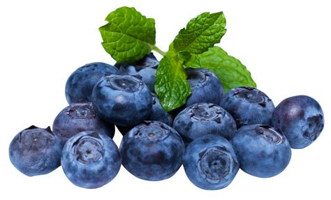 Blackberry With Leaf Png Image Blueberry Png Images Png