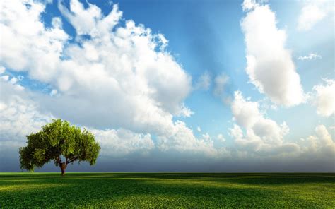 Download Lonely Tree Nature Blue Sky Grass Green Field Cloud Tree Hd
