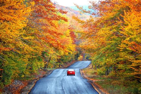 Best Places To See Fall Foliage In Texas