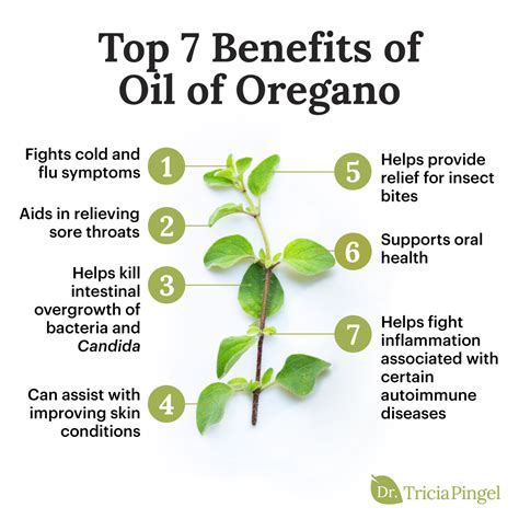 7 Amazing Health Benefits Of Oregano Oil Dr Tricia Pingel