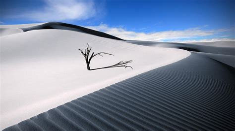 White Desert Dune Wallpapers Wallpaper Cave