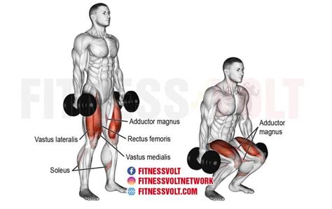 The 7 Best Dumbbell Squat Variations For Stronger More Muscular Legs