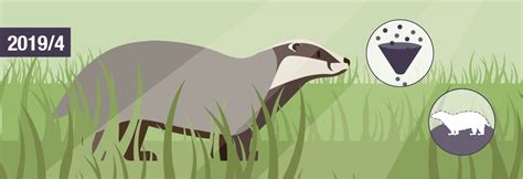 Badger Culling Policy In England Convention On The Conservation Of