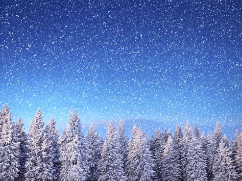 Images Winter Spruce Nature Snowflakes Sky Snow Forests Seasons