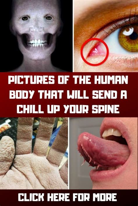Pictures Of The Human Body That Will Send A Chill Up Your Spine Fun