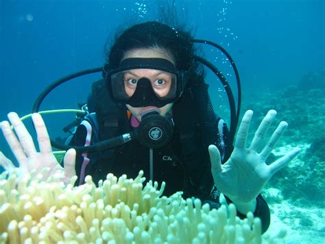 Scuba Diving At Rock Dive Mactan Cebu Ready Set Go And Share
