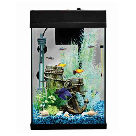 Top Fin 10 Gallon Aquarium Starter Kit With Led Lights Aquarium Views