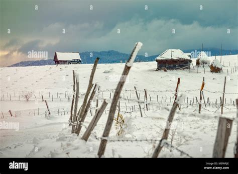 Romanian Winter Landscape In Carphatians Mountainthe Rural Winter