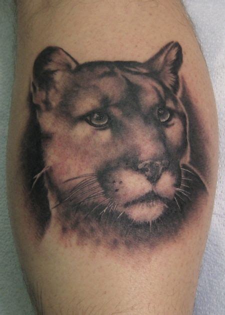Mountain Lion Tattoos Bing Images Tattoo Art Tattoos Lion Tattoo