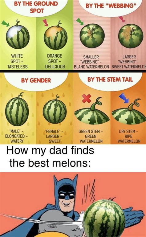 Slap The Melon Meme Subido Por Splinter99 Memedroid