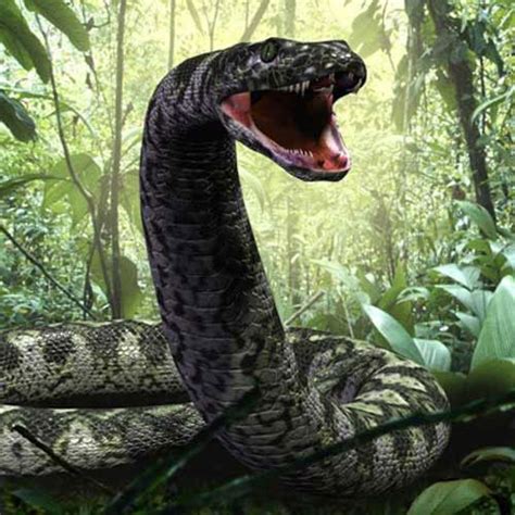 Titanoboa La Serpiente Prehistórica Más Grande Del Mundo Septiembre 2023