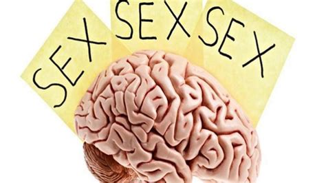 your brain on porn los efectos de la pornografía en el cerebro punto crítico derechos humanos