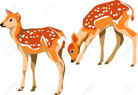 Download Fawn Clipart For Free Designlooter 2020 👨‍🎨