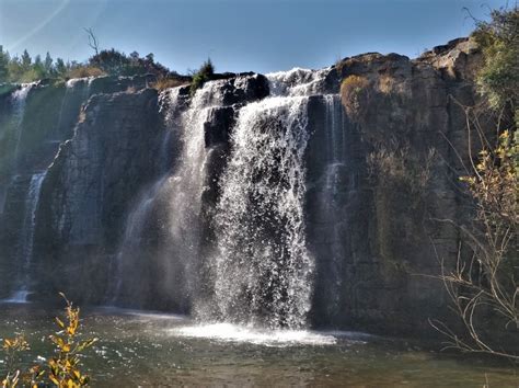 Forest Falls Trail Hiking Guide The Scribs And Nibs