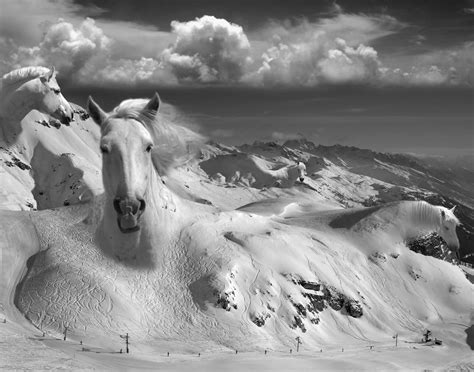 Thomas Barbey Living In A Surreal World Scene360