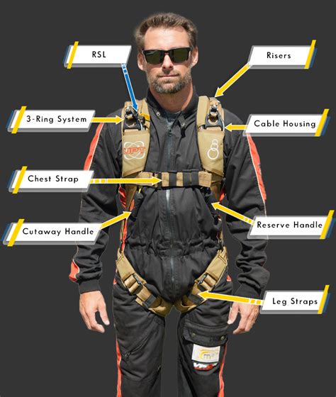 Your Rig A Top To Bottom Breakdown Skydivemag