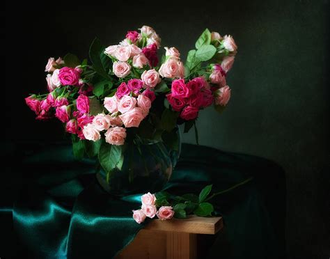 Still Life With Pink Roses Photograph By Alina Lankina