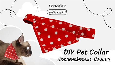 Diy Pet Collar ปลอกคอน้องหมา น้องแมว Sirichai Fabric