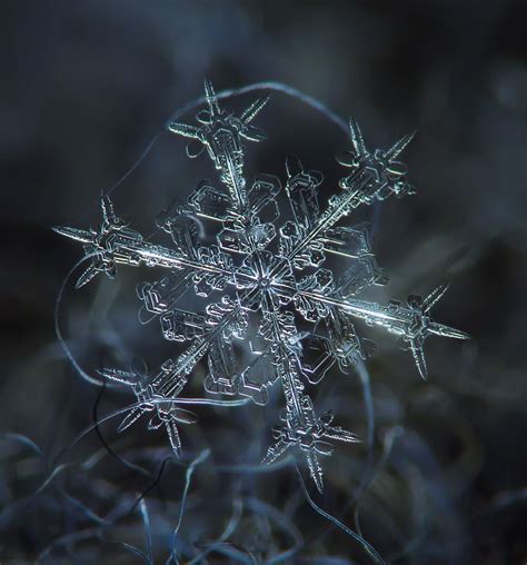 Snow Crystal By Alexey Kljatov Via 500px Amazing Macro Photography