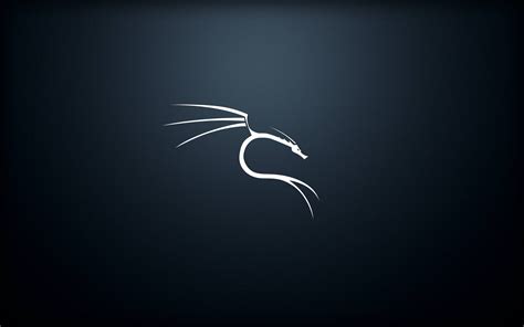 See 49 List Of Wallpaper Kali Linux For Smartphone People Forgot To