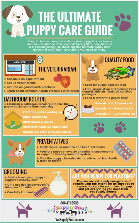 THE ULTIMATE PUPPY CARE GUIDE | J&B Pet Source | Puppy care, New puppy