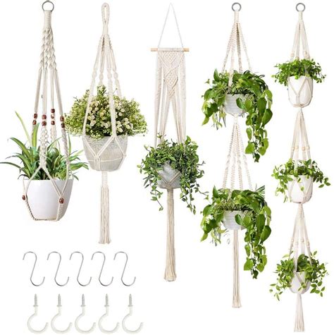 Best Window Plant Hangers For Indoor Plants Backyard Boss