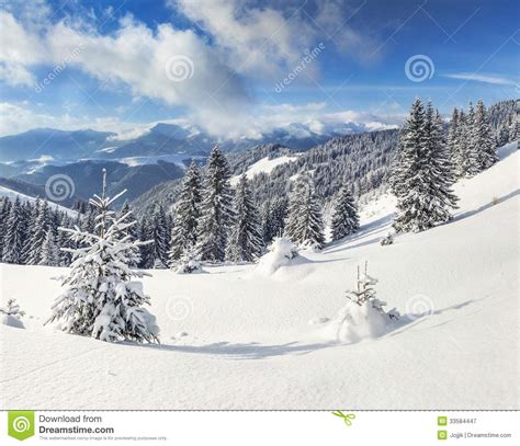 Beautiful Winter Landscape In The Mountains Royalty Free