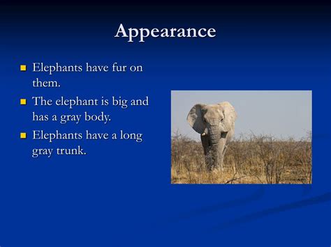 Ppt Elephants Powerpoint Presentation Free Download Id4157948