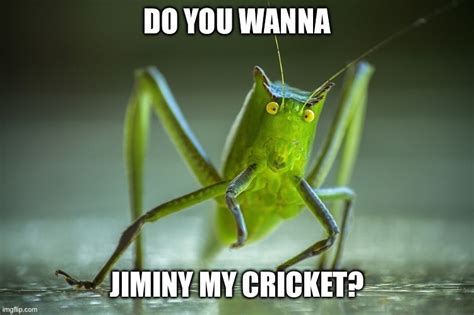 My Cricket Imgflip